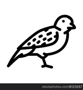 sparrow bird line icon vector. sparrow bird sign. isolated contour symbol black illustration. sparrow bird line icon vector illustration