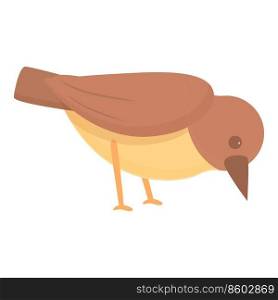 Sparrow eating icon cartoon vector. Tree bird. Cute character. Sparrow eating icon cartoon vector. Tree bird