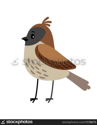 Sparrow funny cartoon bird icon in brown colors, isolated on white background. Vector illustration. Sparrow funny cartoon bird