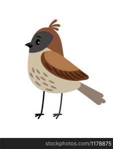 Sparrow funny cartoon bird icon in brown colors, isolated on white background. Vector illustration. Sparrow funny cartoon bird