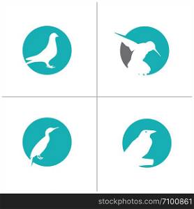 Sparrow icon illustration in circle, pigeon, dove humming bird vector logo design