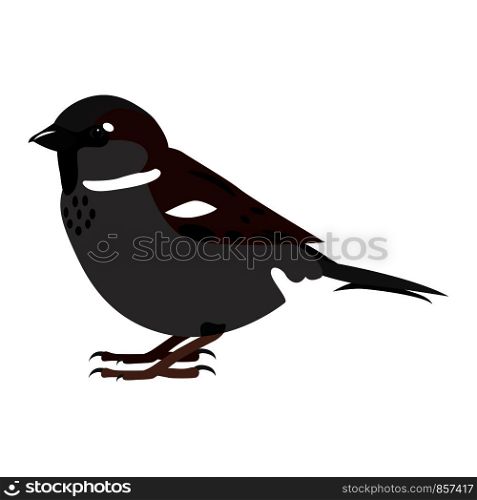 Sparrow. Simple color vector illustration isolated on white. Sparrow. Simple color vector illustration isolated on white.