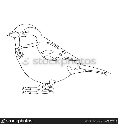 Sparrow. Simple contour vector illustration isolated on white. Sparrow. Simple contour vector illustration isolated on white.