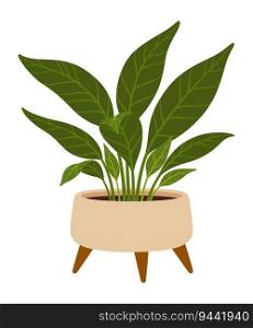 Spathiphyllum in pot. Cartoon vector indoor plant with glossy, dark green leaves and elegant white flowers that thrive in low-light conditions, perfect for adding a touch of nature to home or office. Spathiphyllum in pot. Cartoon vector indoor plant