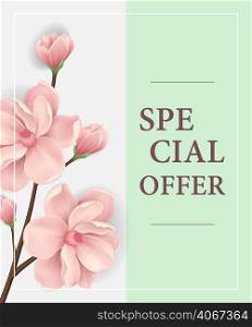 Special offer poster design with pink blooming twig on light green background. Typed text in frame can be used for flyers, signs, banners.