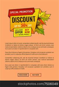 Special promotion discount on Thanksgiving day, exclusive offer buy now natural product poster with maple leaves. Vector autumn sale coupon, yellow foliage. Special Promotion Discount Thanksgiving Day Poster