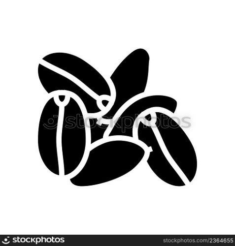 spelt seed glyph icon vector. spelt seed sign. isolated contour symbol black illustration. spelt seed glyph icon vector illustration
