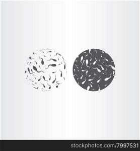 spermatozoon vector icon design medical