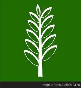 Spica icon white isolated on green background. Vector illustration. Spica icon green