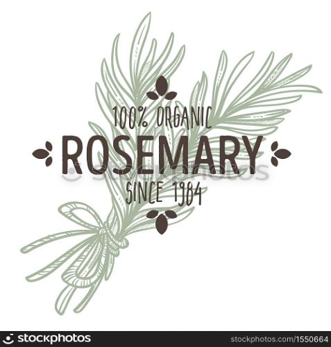 Spice and herbs shop rosemary plant isolated icon with lettering vector herbal cooking ingredient grocery store or market emblem or logo branch with leaves silhouette organic food natural product.. Rosemary isolated icon with lettering spice and herbs shop