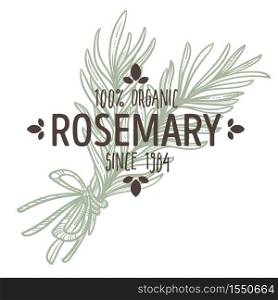 Spice and herbs shop rosemary plant isolated icon with lettering vector herbal cooking ingredient grocery store or market emblem or logo branch with leaves silhouette organic food natural product.. Rosemary isolated icon with lettering spice and herbs shop