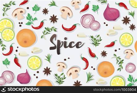spice and vegetable foods background vector illustration EPS10