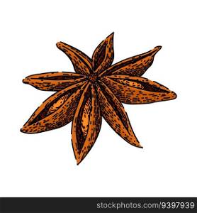 spice anise star hand drawn. ingredient chinese, condiment herb, seed ed spice anise star vector sketch. isolated color illustration. spice anise star sketch hand drawn vector
