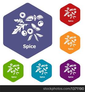 Spice icons vector colorful hexahedron set collection isolated on white. Spice icons vector hexahedron