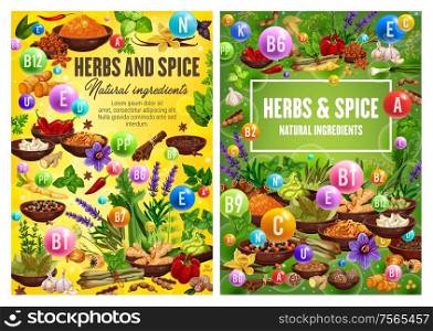 Spices and herbal cooking ingredients, herbs and seasonings, condiments. Vector garlic, mint and basil, rosemary and parsley, dill and lavender, pepper, bay leaf, oregano and cinnamon herbs. Herbs and spices, seasonings and condiments
