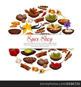 Spices and herbs in bowls poster of herbal seasonings. Vector tamarind, or vanilla and chili pepper, cinnamon and cardamom or cloves seeds and ginger, Indian curry or anise and turmeric with nutmeg. Spices and herbs vector poster
