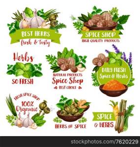 Spices and seasonings, farm herbs and condiments. Vector nutmeg, garlic and basil, organic celery and horseradish, garden turmeric, rosemary or savory and peppermint or parsley. Herbs, natural spices and farm market seasonings