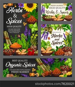 Spices, cooking flavoring herbs and herbal seasoning. Vector culinary condiments sunflower, lemongrass or turmeric and ginger, vanilla or cinnamon and natural garlic and anise with sage and olives. Organic spices, culinary herbs farm seasoning