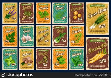 Spices, farm market herb seasonings and organic food condiments price cards. Vector lavender, savory and parsley, fennel and coriander spice, angelica and garlic, lemongrass seasoning and celery. Spices and herb seasonings, farm market price