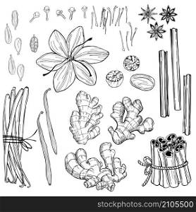 Spices for dessert, and baking.Vector set. Hand drawn sketch illustration. Hand drawn vector spices for dessert.