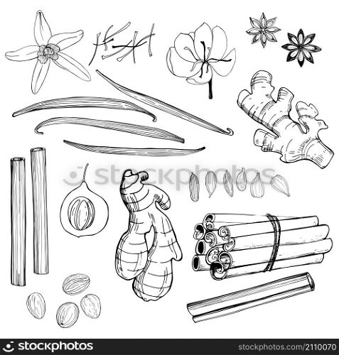 Spices for dessert, and baking.Vector set. Hand drawn sketch illustration. Spices for dessert, and baking.Vector set.