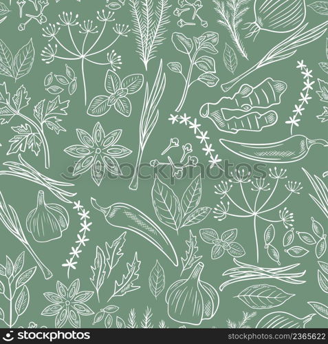 Spices, herbs and herbs hand engraved seamless pattern. Background natural culinary spices sketch. White flavored food additives. Template for packaging and printing vector illustration. Spices, herbs and herbs hand engraved seamless pattern