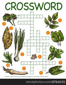 Spices, herbs and seasonings sketch, crossword grid worksheet, vector find word quiz game. Kids riddle to guess word in crossword grid with parsley, coriander and horseradish, bay leaf and sage. Spices, herbs, seasonings sketch, crossword game