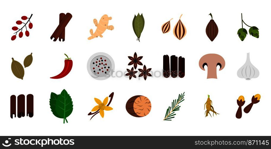 Spices icon set. Flat set of spices vector icons for web design isolated on white background. Spices icon set, flat style