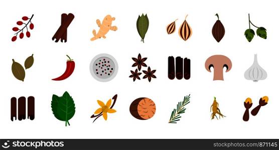 Spices icon set. Flat set of spices vector icons for web design isolated on white background. Spices icon set, flat style