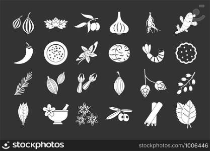 Spices icon set vector white isolated on grey background . Spices icon set grey vector