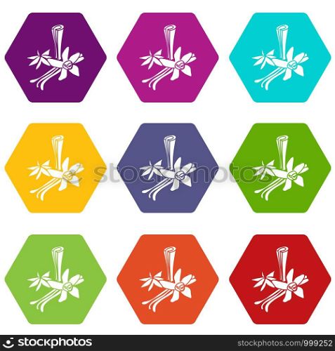 Spices icons 9 set coloful isolated on white for web. Spices icons set 9 vector