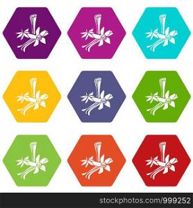 Spices icons 9 set coloful isolated on white for web. Spices icons set 9 vector