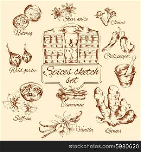 Spices Sketch Set. Spices sketch set with nutmeg vanilla cinnamon ginger isolated vector illustration