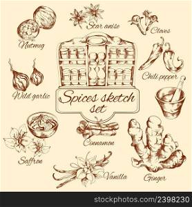 Spices sketch set with nutmeg vanilla cinnamon ginger isolated vector illustration. Spices Sketch Set