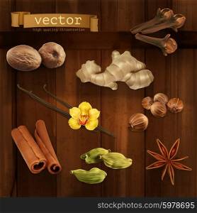 Spices, vector icons set