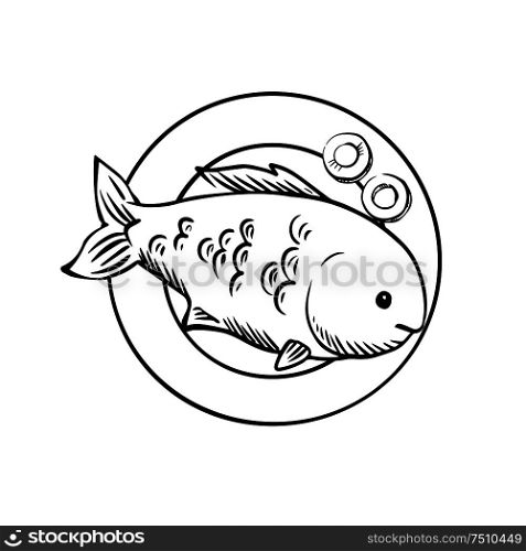 Spicy tasty grilled ocean fish served on plate with slices of fresh carrot, for seafood menu design. Sketch image