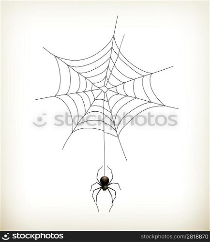 Spider and web, vector
