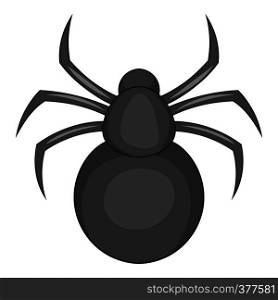 Spider icon. Cartoon illustration of spider vector icon for web. Spider icon, cartoon style