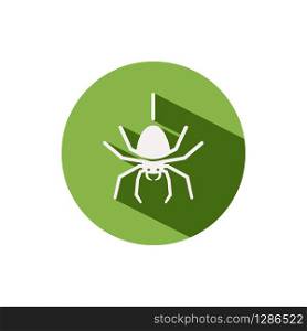 Spider. Icon on a green circle. Animal glyph vector illustration