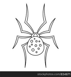Spider icon. Outline spider vector icon for web design isolated on white background. Spider icon, outline style