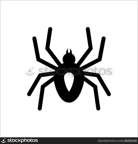 Spider Icon, Spider Vector Art Illustration