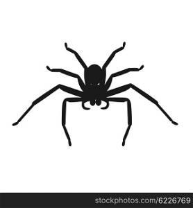 Spider Icon Vector. Spider icon logo isolated on white background