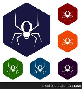 Spider icons set hexagon isolated vector illustration. Spider icons set hexagon