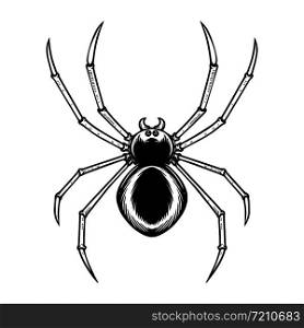 Spider illustration in engraving style. Halloween theme. Design element for poster, card, banner, emblem, sign. Vector illustration