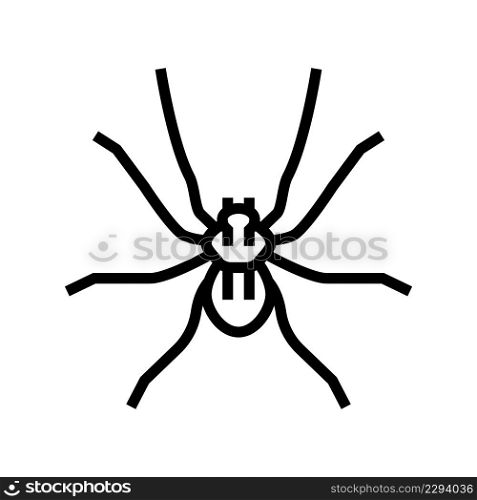 spider insect line icon vector. spider insect sign. isolated contour symbol black illustration. spider insect line icon vector illustration
