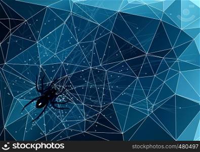 spider on web with a water drops