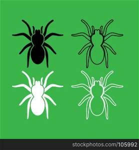 Spider or tarantula icon Black and white color set . Spider or tarantula icon . Black and white color set .