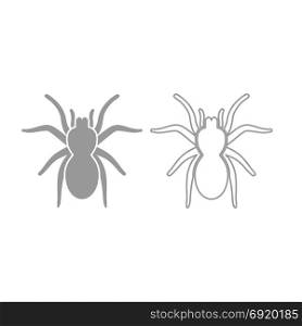 Spider or tarantula icon. Grey set .. Spider or tarantula icon. It is grey set .