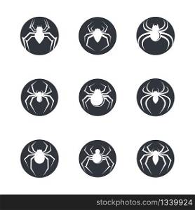 Spider symbol vector icon illustration design
