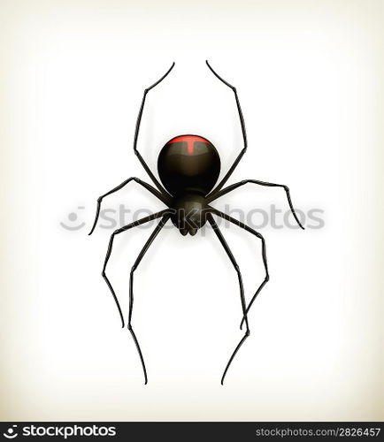 Spider, vector